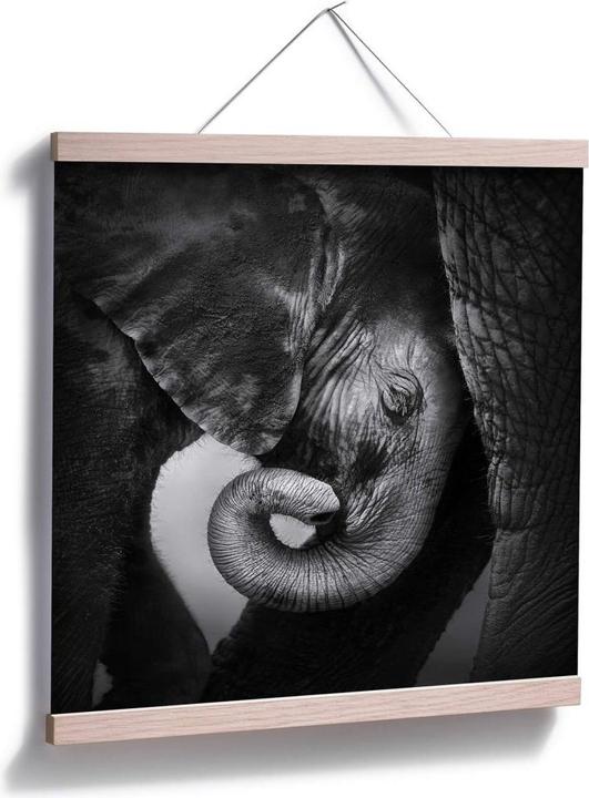 Image du produit Trenddeko Le bébé éléphant (40 x 40 cm)