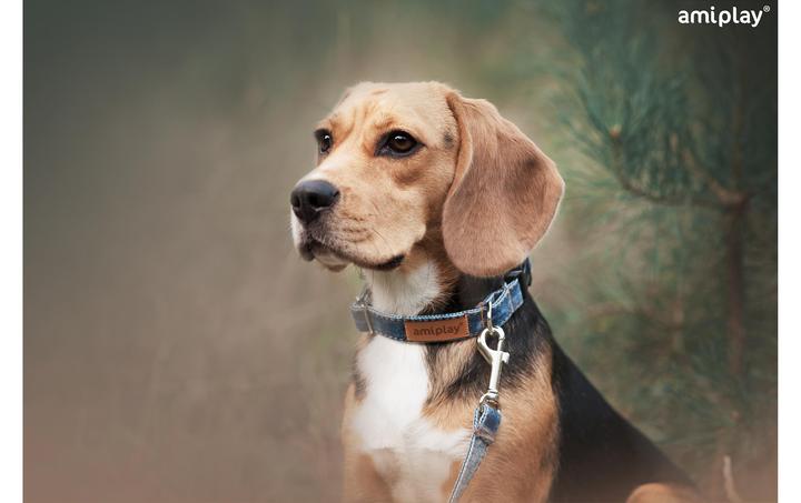 Actual product image amiplay Collar denim, light blue (M, Dog, General)