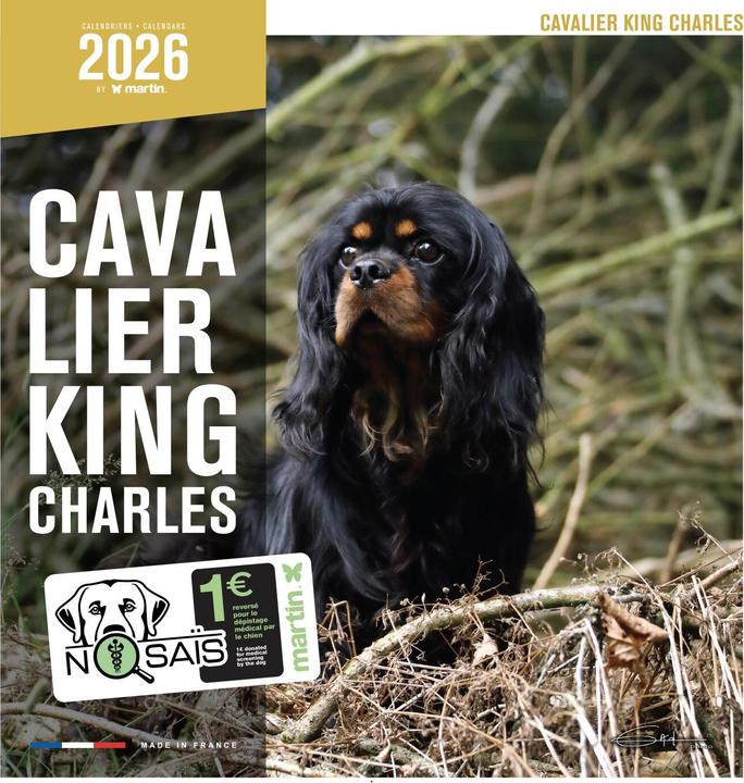 Produktbild Martin Sellier Cavalier King Charles