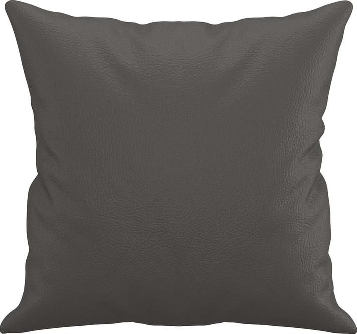 Image du produit vidaXL Sofakissen (40 x 40 cm)