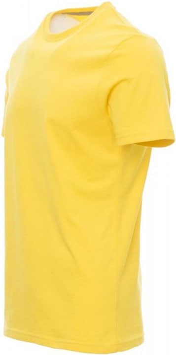 Immagine prodotto Payper t (3XL)