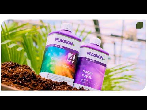 Produktbild Plagron Green Sensation (0.32 kg, 0.25 l)