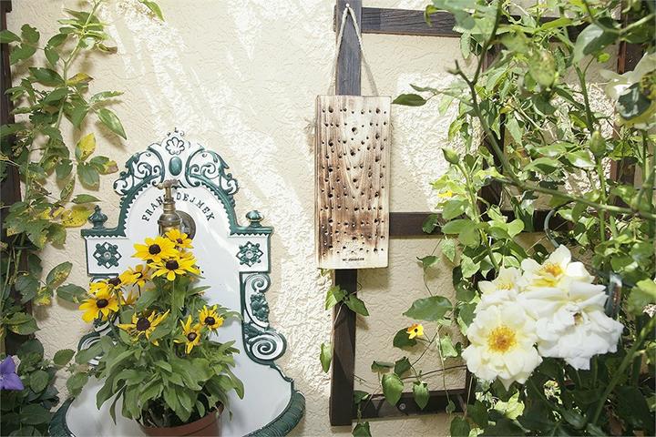 Immagine prodotto Windhager Legno d'ape selvatica (Api)