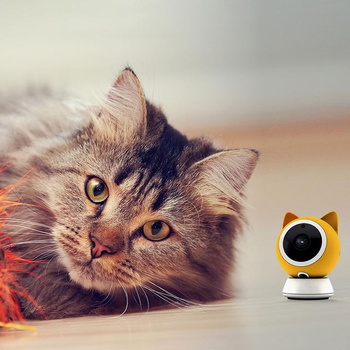 Actual product image Petoneer Smart Pet Cam