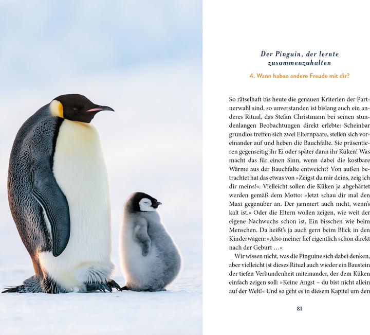 Actual product image Der Pinguin, der fliegen lernte