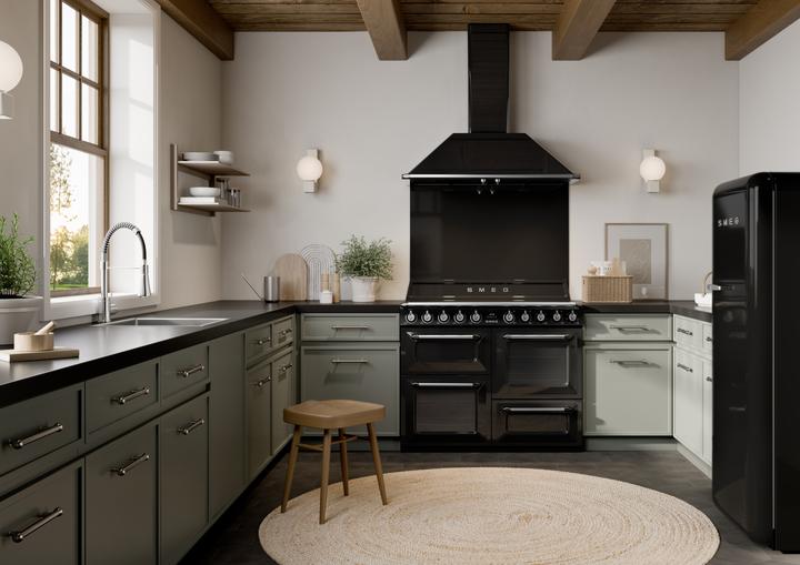 Image du produit Smeg TR4110IBL2 noir