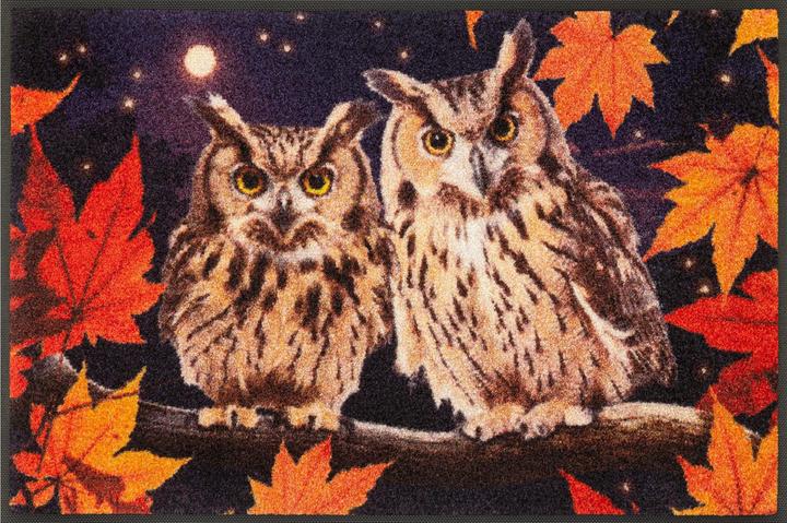 Produktbild Wash + Dry Fussmatte Night Owls 50 cm x 75 cm (50 x 75 cm)