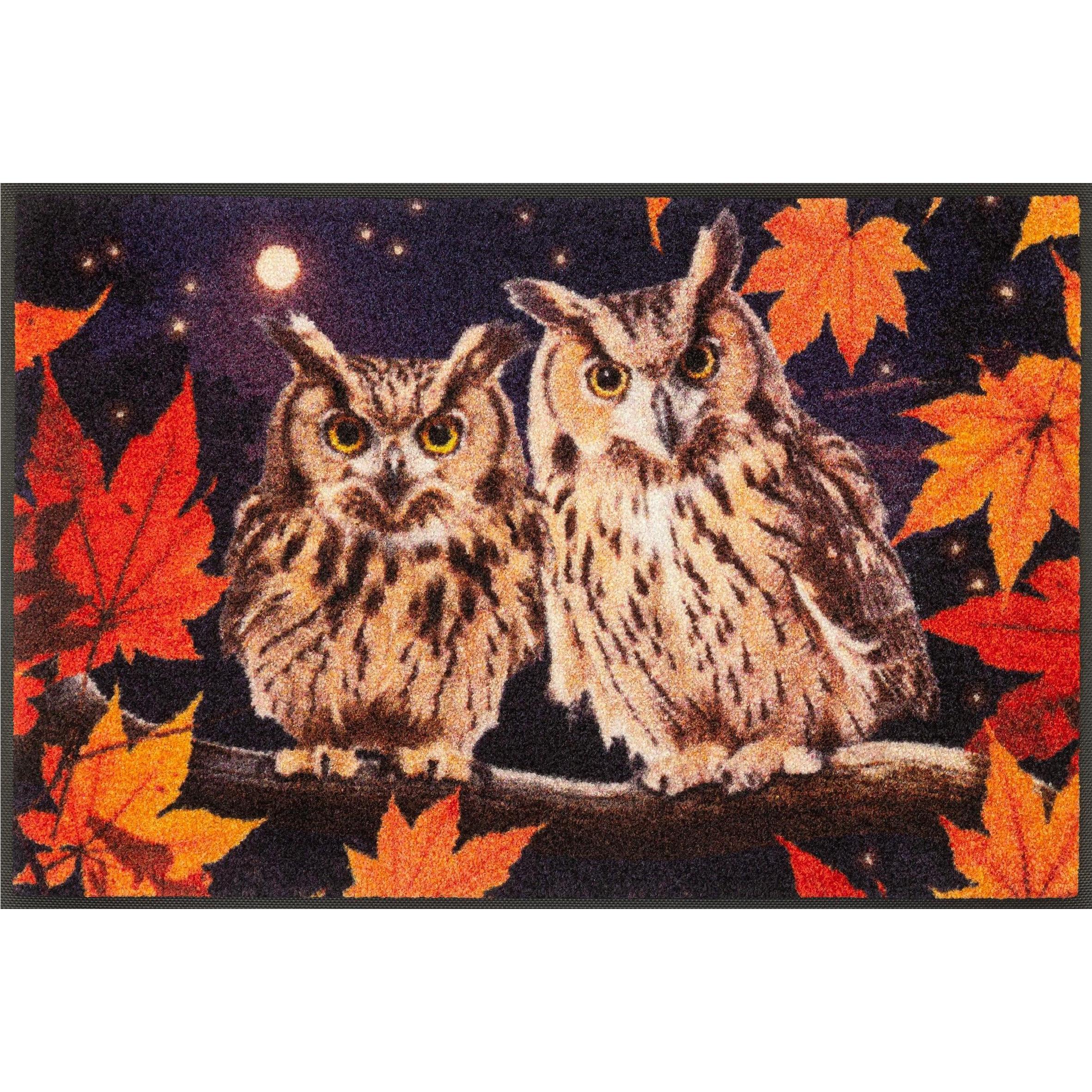 Wash + Dry, Zerbino, Zerbino Night Owls 50 cm x 75 cm (75 x 50 cm)