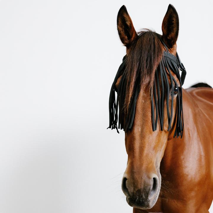 Actual product image Fouganza Fly mask fly fringes polypropylene