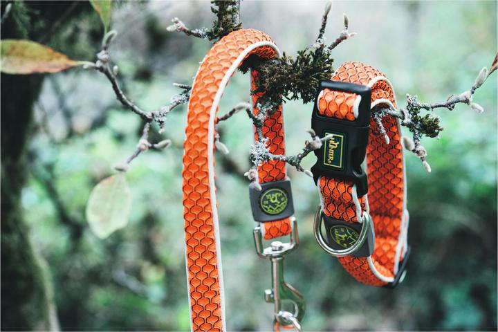 Produktbild Hunter Hundehalsband Hilo Vario Basic (Hund, Hundesport)