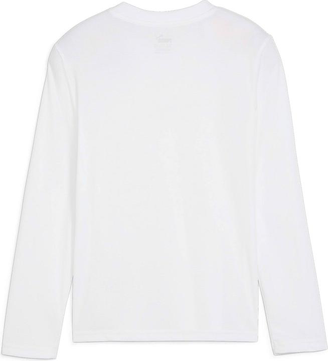 Actual product image Puma teamGOAL Baselayer Tee LS Jr. (128)