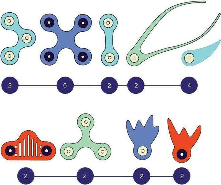 Productafbeelding Clixo Oceaanwezens