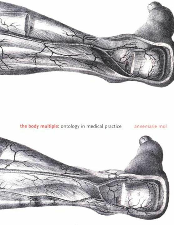 Produktbild The Body Multiple (Englisch, Annemarie Mol)