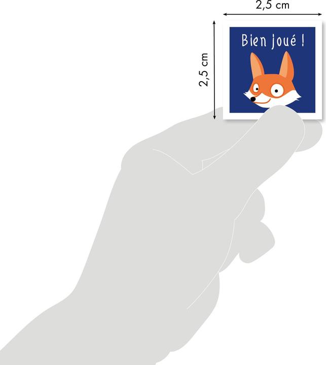 Actual product image My Mandarine Learning stickers