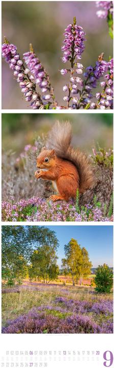 Image du produit Nature Triplet-Kalender 2026 (33 x 100 cm, Couverture rigide, Français, Allemand, Anglais)