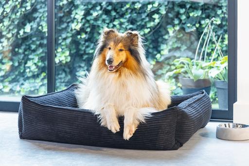 Actual product image Designed by Lotte Ribbed (Dog)