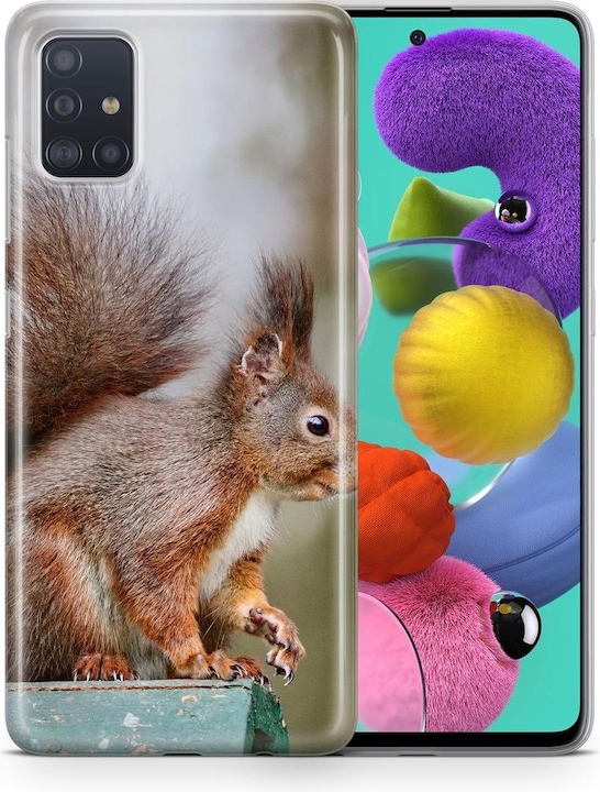 Squirrels