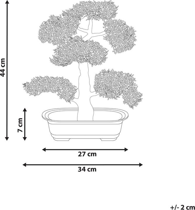 Immagine prodotto Beliani Pine (44 cm)