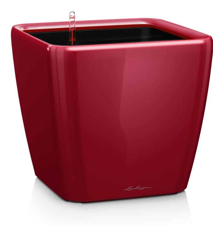 Produktbild Lechuza Quadro LS (35.50 x 35.50 x 32.50 cm)