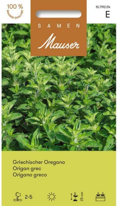 Actual product image Samen Mauser Greek oregano (Herb seeds)