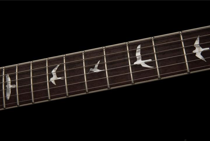 Produktbild PRS SE Zach Myers - Myers Blue (E-Gitarre, Mahagoni, mahogany, Maple)