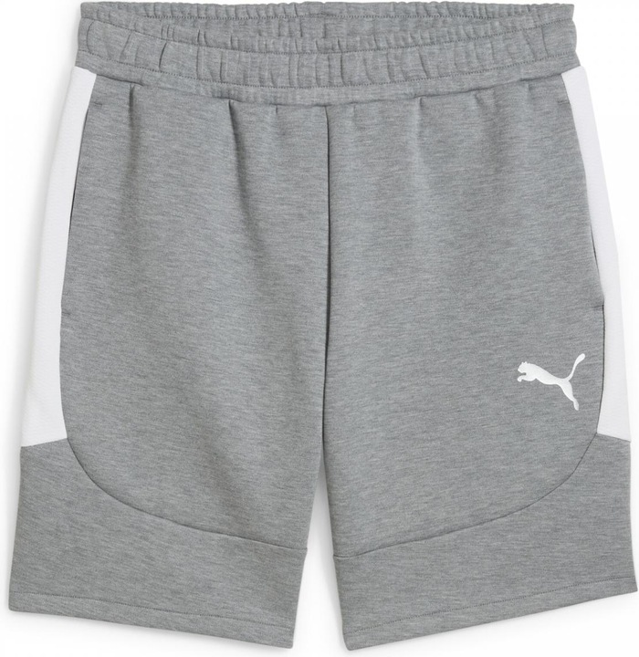 Actual product image Puma teamEVOSTRIPE Shorts (L)