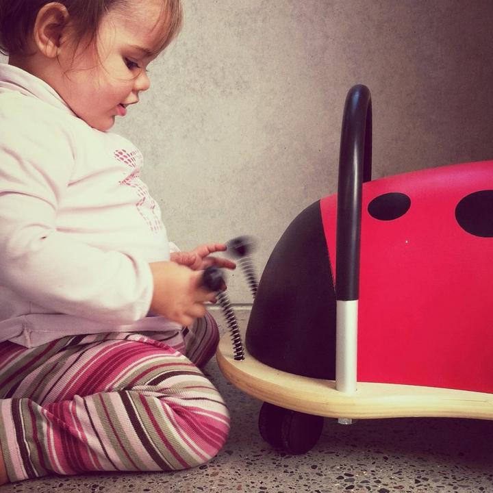 Image du produit Wheely Bug Coccinelle petite