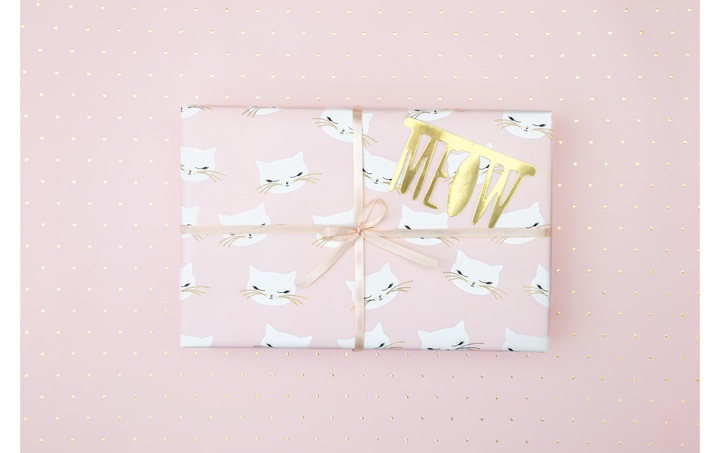 Actual product image Partydeco Gift Wrapping Paper Cat Pink (Wrapping paper, 2 x)