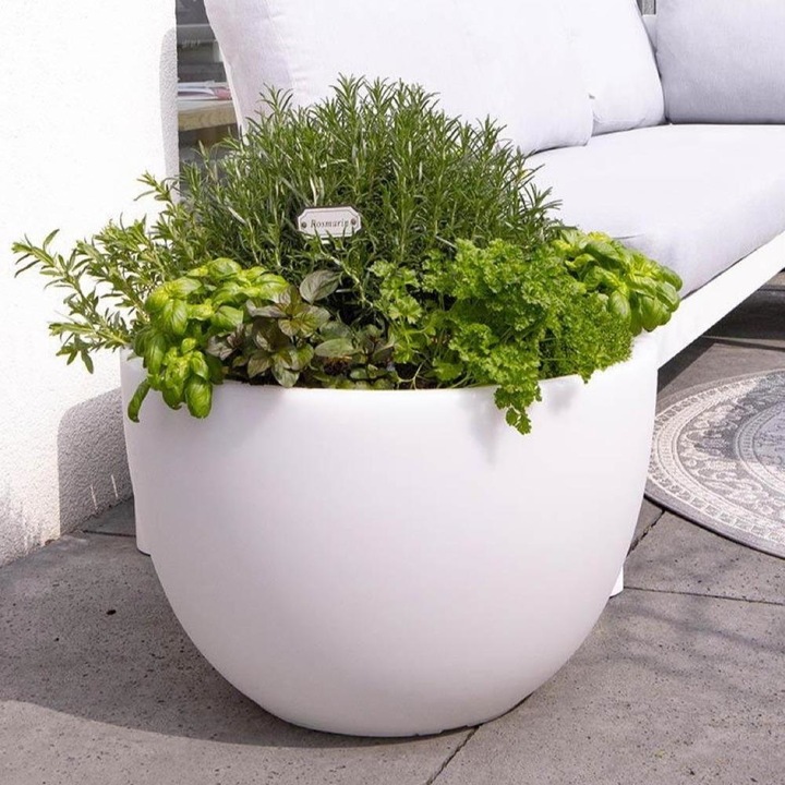 Immagine prodotto 8 seasons design Pentola lucente e sinuosa (59 cm)