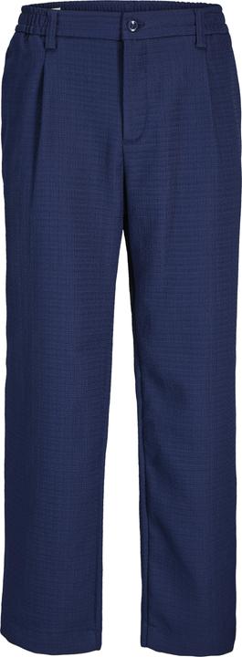 Actual product image Jack & Jones Jpstbill Jjalaska Jogger Styd Aw24 Ln (L)