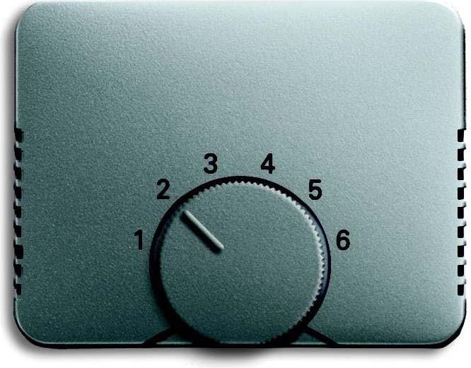 Actual product image Busch-Jaeger Central disk