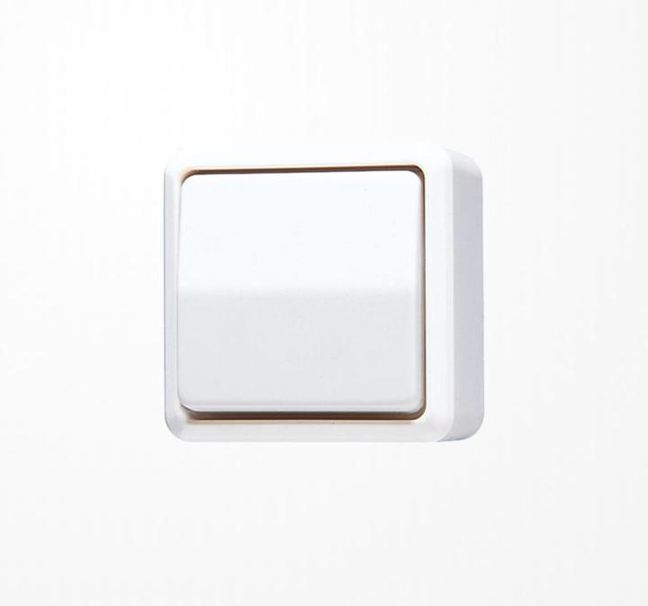 Actual product image JUNG rocker switch