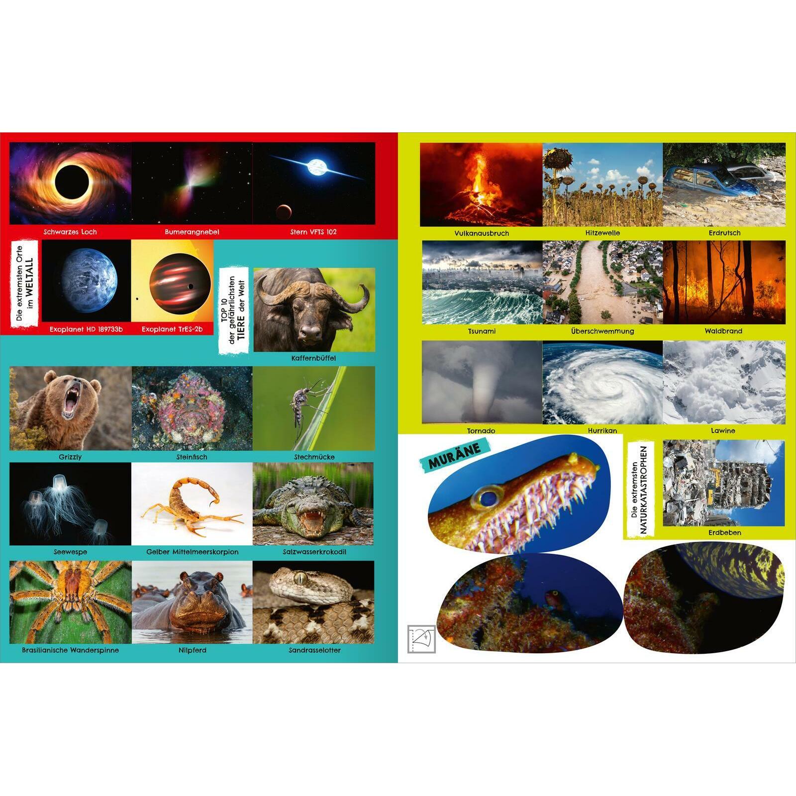 Thumbnail - Ars Edition, Sticker, Das gefährlichste Stickerheft der Welt