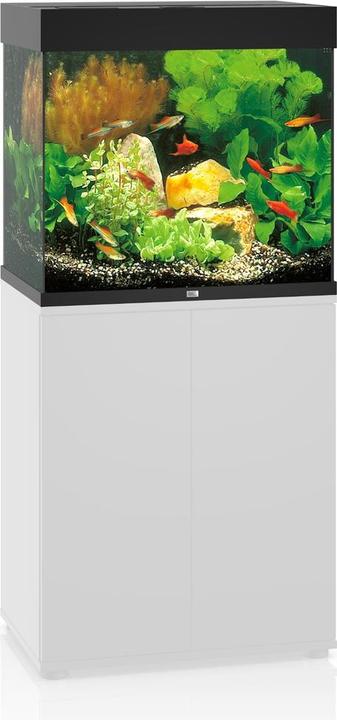 Immagine prodotto Juwel Aquarium Lido (120 l)