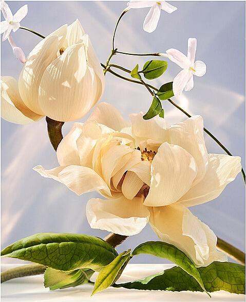 Immagine prodotto Bulgari Omnia Cristallina (Eau de parfum, 50 ml)