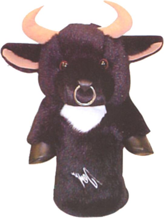 Image du produit Evolution Couvre-chef du pilote