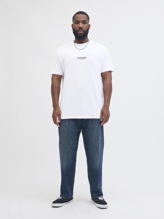 Actual product image Jack & Jones Jjesoho Tee Ss Crew Neck Noos Pls (4XL)