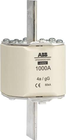 Actual product image ABB OFAA4AGG1000