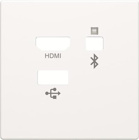 Actual product image Busch-Jaeger Central disc