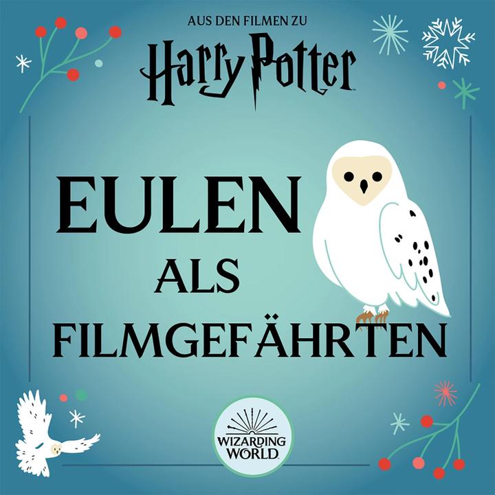 Produktbild Panini Harry Potter Magische Weihnachten