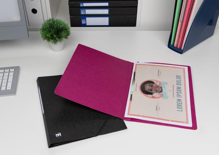 Actual product image Oxford TOP FILE+ loose-leaf binder, A4 (A4, 1 x)