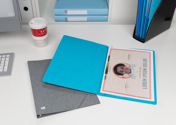 Actual product image Oxford TOP FILE+ loose-leaf binder, A4 (A4, 1 x)