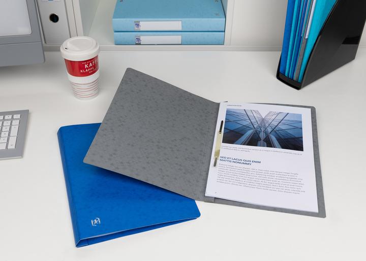 Actual product image Oxford TOP FILE+ loose-leaf binder, A4 (A4, 1 x)