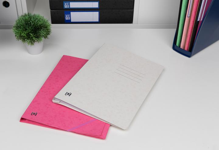 Actual product image Oxford TOP FILE+ loose-leaf binder, A4 (A4, 1 x)