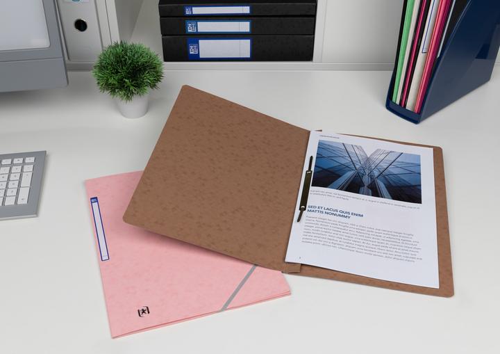 Actual product image Oxford TOP FILE+ loose-leaf binder, A4 (A4, 1 x)