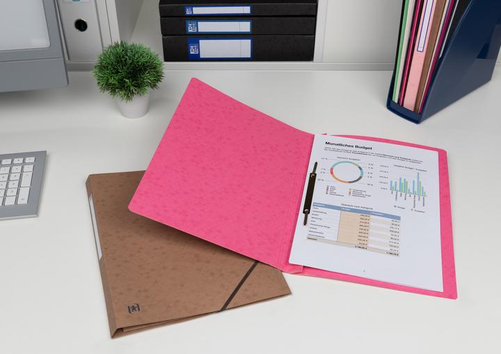 Actual product image Oxford TOP FILE+ loose-leaf binder, A4 (A4, 1 x)