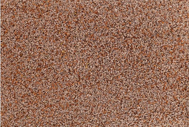 Produktbild Vitana Hunde-Nahrungsergänzung Indische Flohsamen, 150 g (1 Stk., 175 g)