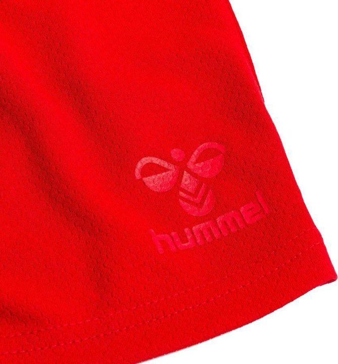 Actual product image hummel DBU 2022/23 (XL)