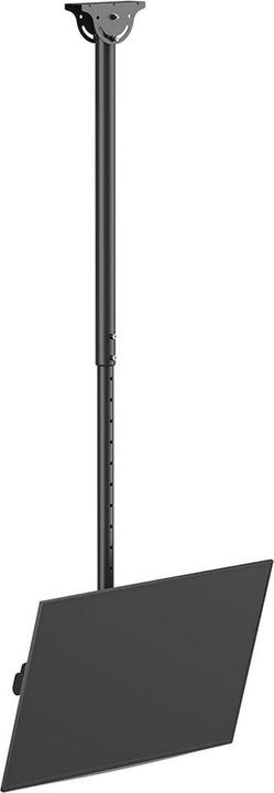 Actual product image Neomounts CL35-440BL16L (Ceiling, 50 kg, 37" - 70")
