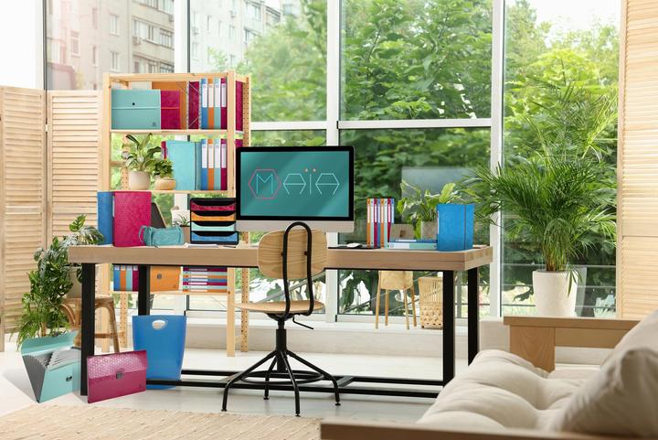 Actual product image Exacompta Display folders (A4, 1 x)